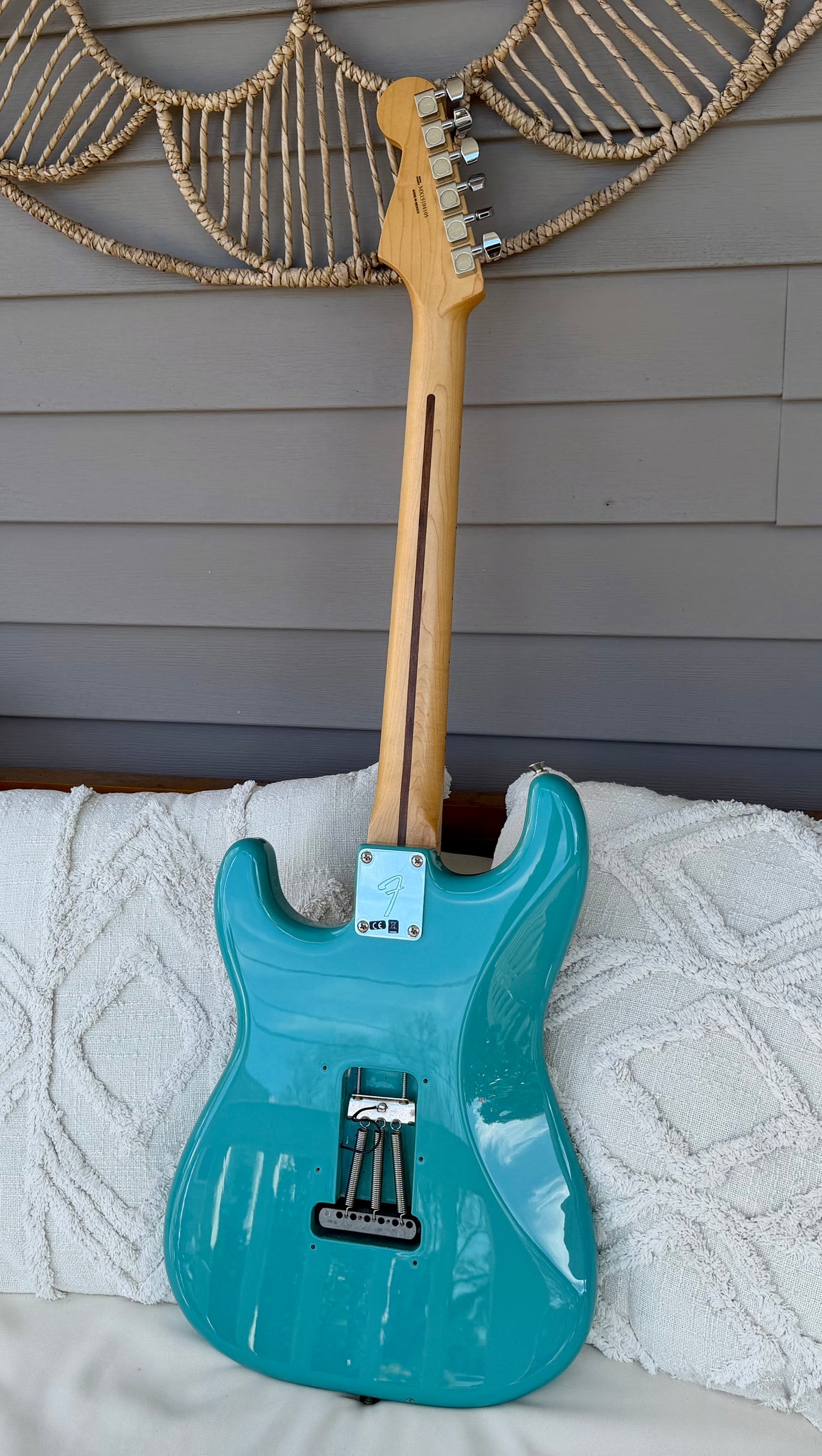 2019 Fender Tyler, the Creator Golf Wang Stratocaster - Original Accessories