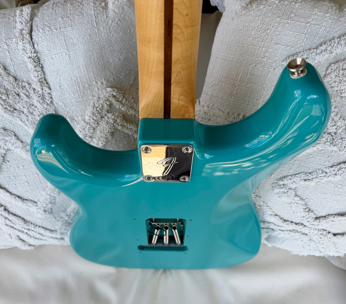 2019 Fender Tyler, the Creator Golf Wang Stratocaster - Original Accessories