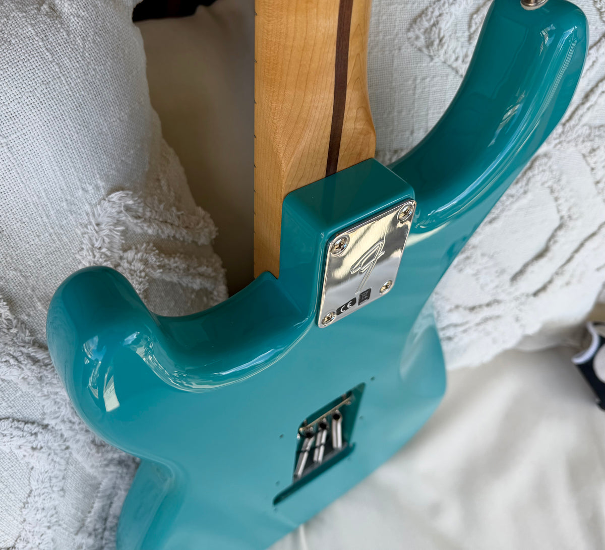 2019 Fender Tyler, the Creator Golf Wang Stratocaster - Original Accessories