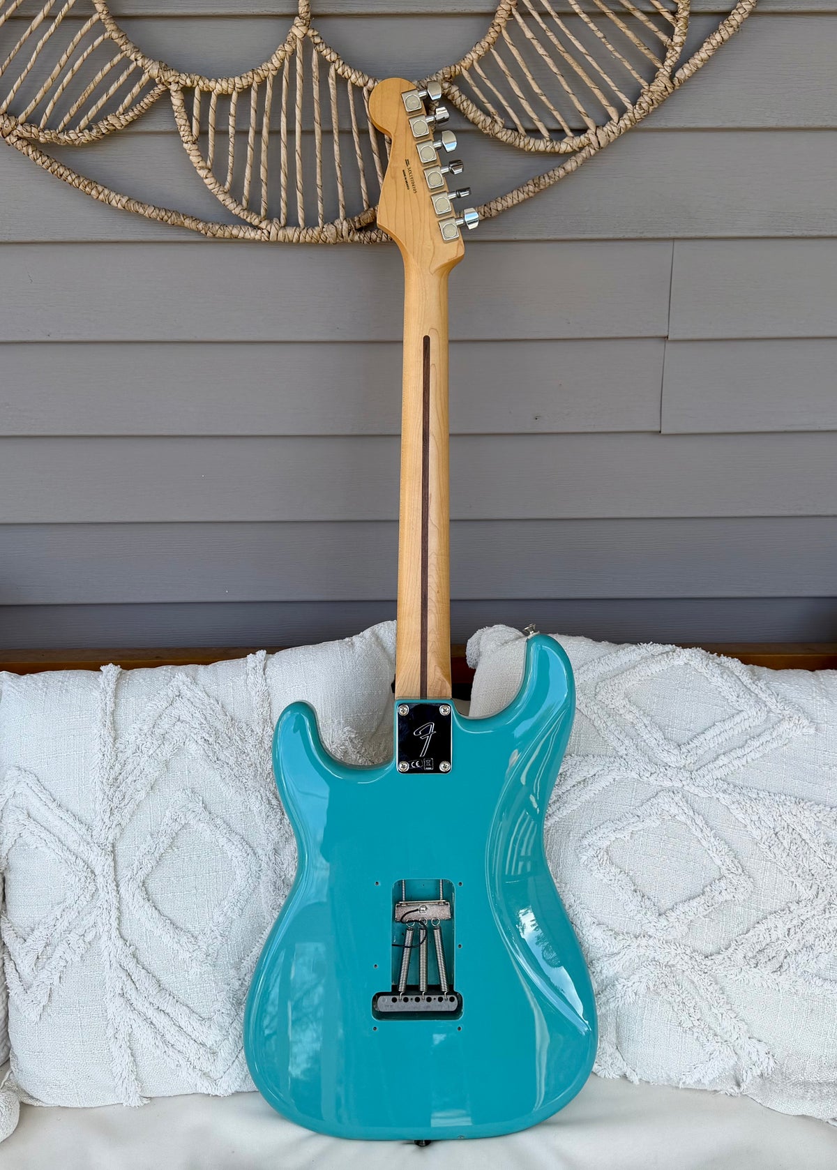 2019 Fender Tyler, the Creator Golf Wang Stratocaster - Original Accessories