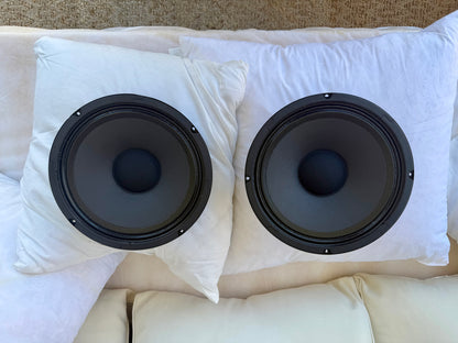 Fender Vaporizer 10” 16Ω Speaker Pair (2x) — Eminence Made, OEM Fender!